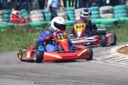20110501_ales_agnus (2917)